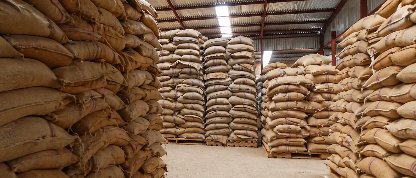 Industrial warehouse with stacked burlap sacks of green coffee beans on pallets